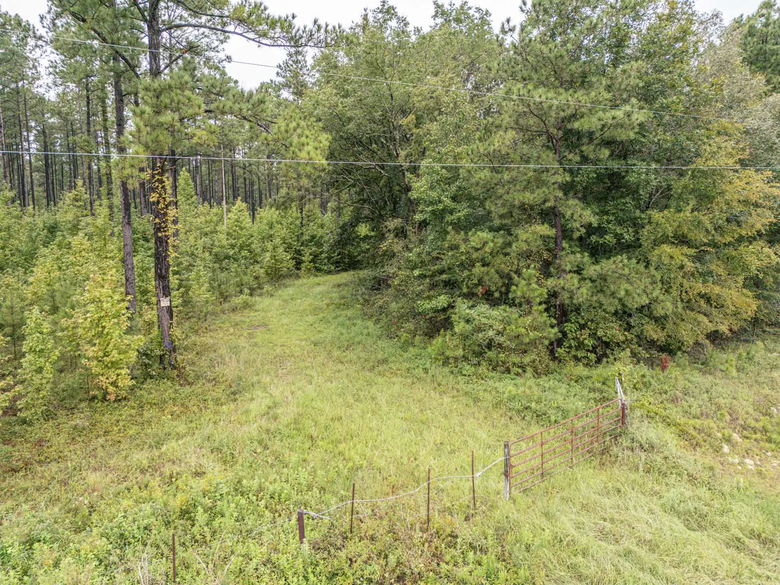 Timberland Lot Drone Photos in Dexter, GA image 6