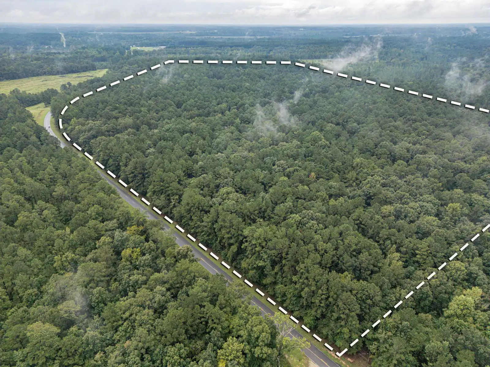 Timberland Lot Drone Photos in Dexter, GA image 3