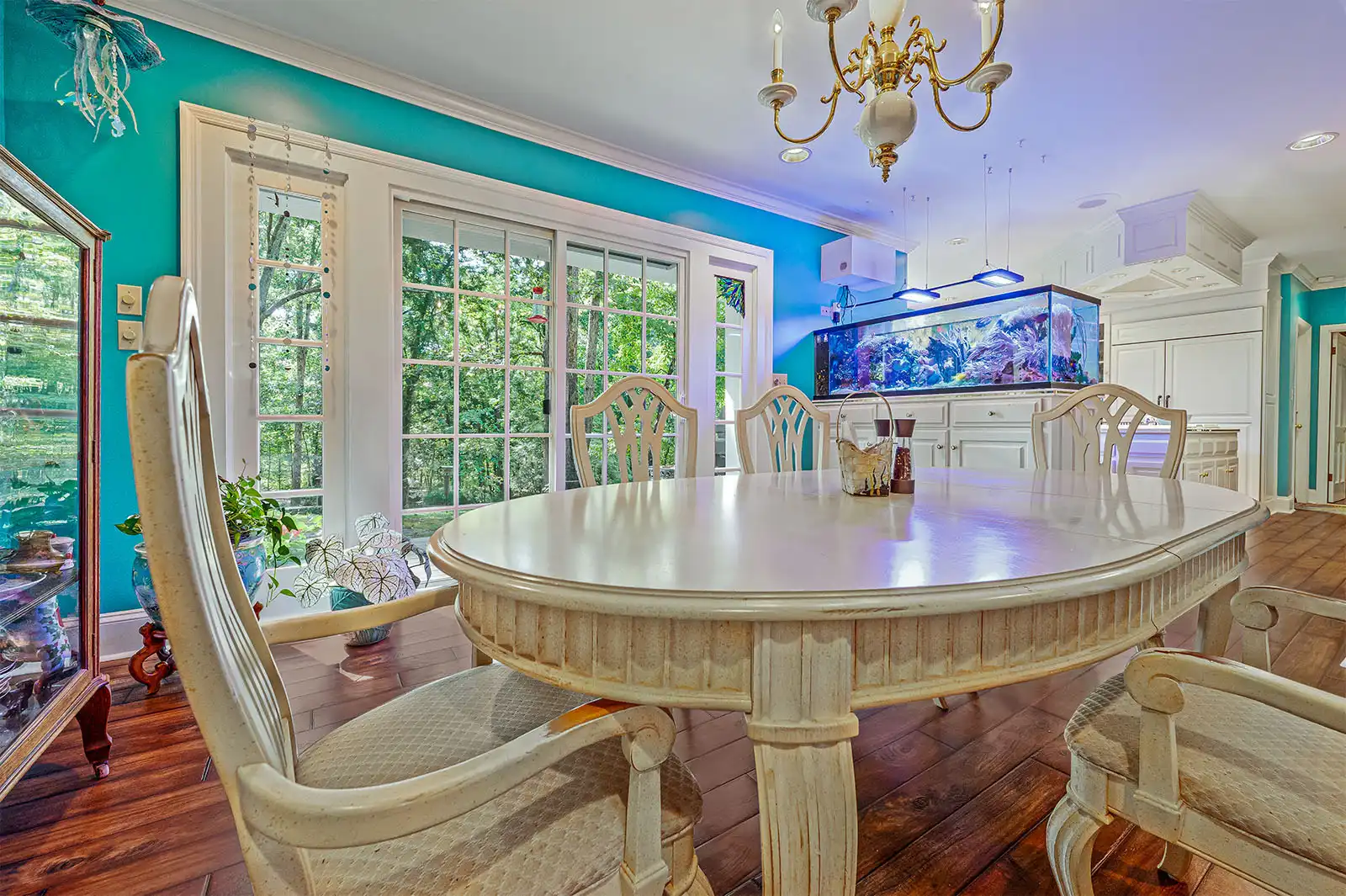 Photo Set of Athens, GA Home With Saltwater Aquarium image 2