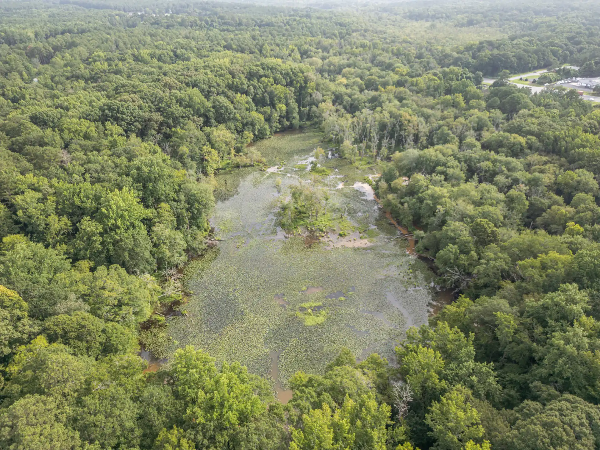 Sandy Creek Nature Center Photography in Athens, GA image 9