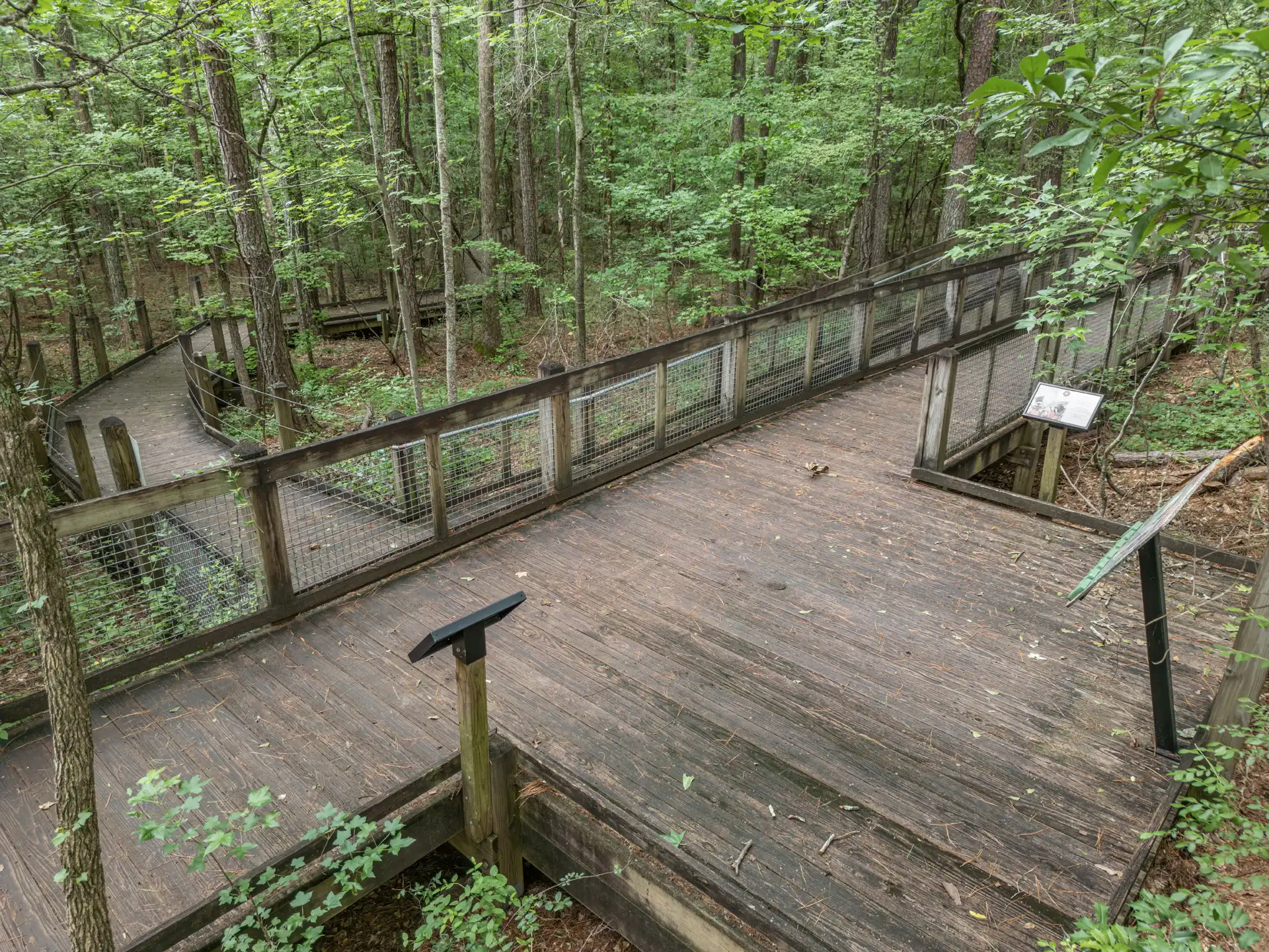 Sandy Creek Nature Center Photography in Athens, GA image 10