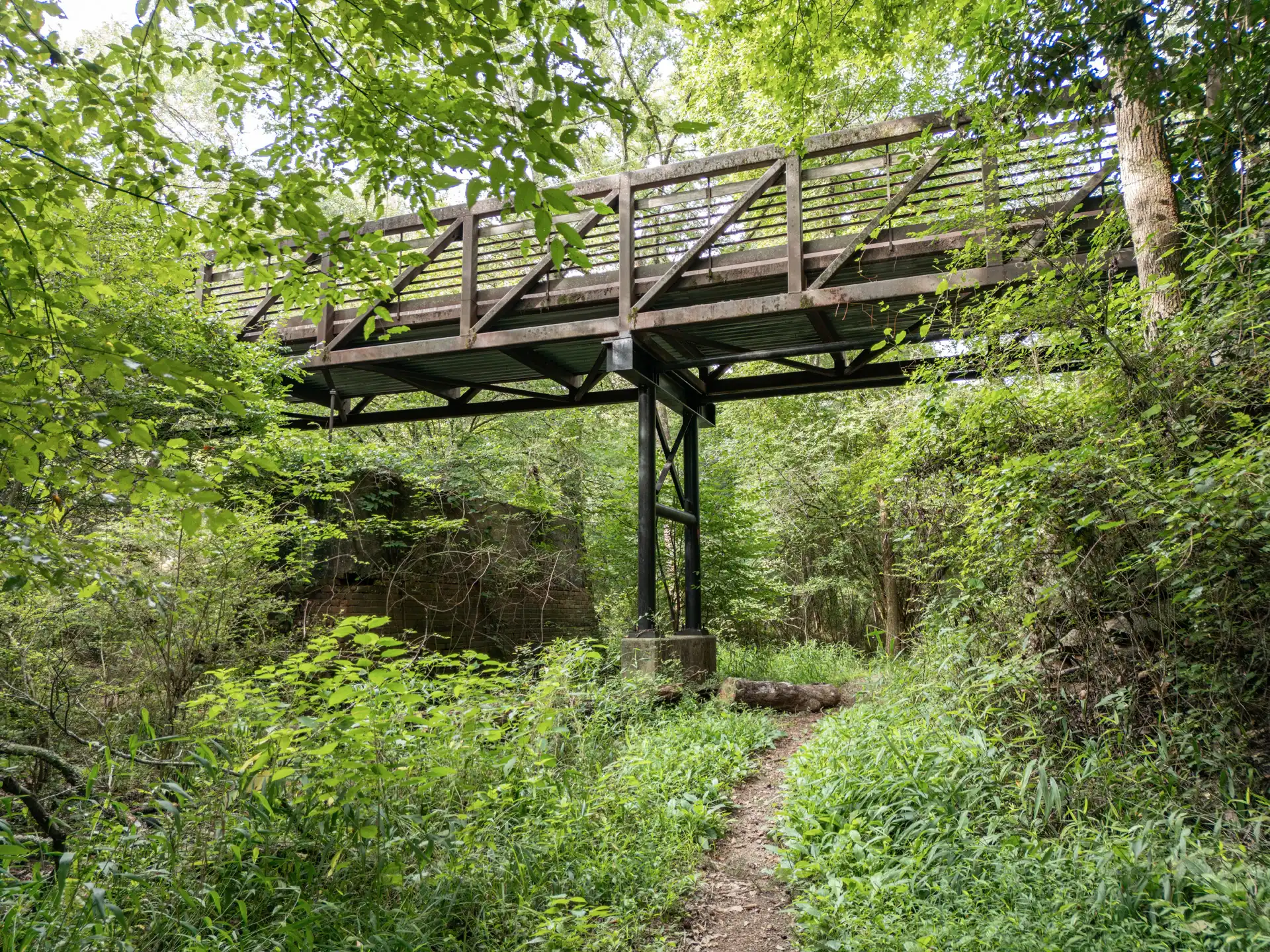 Sandy Creek Nature Center Photography in Athens, GA image 7