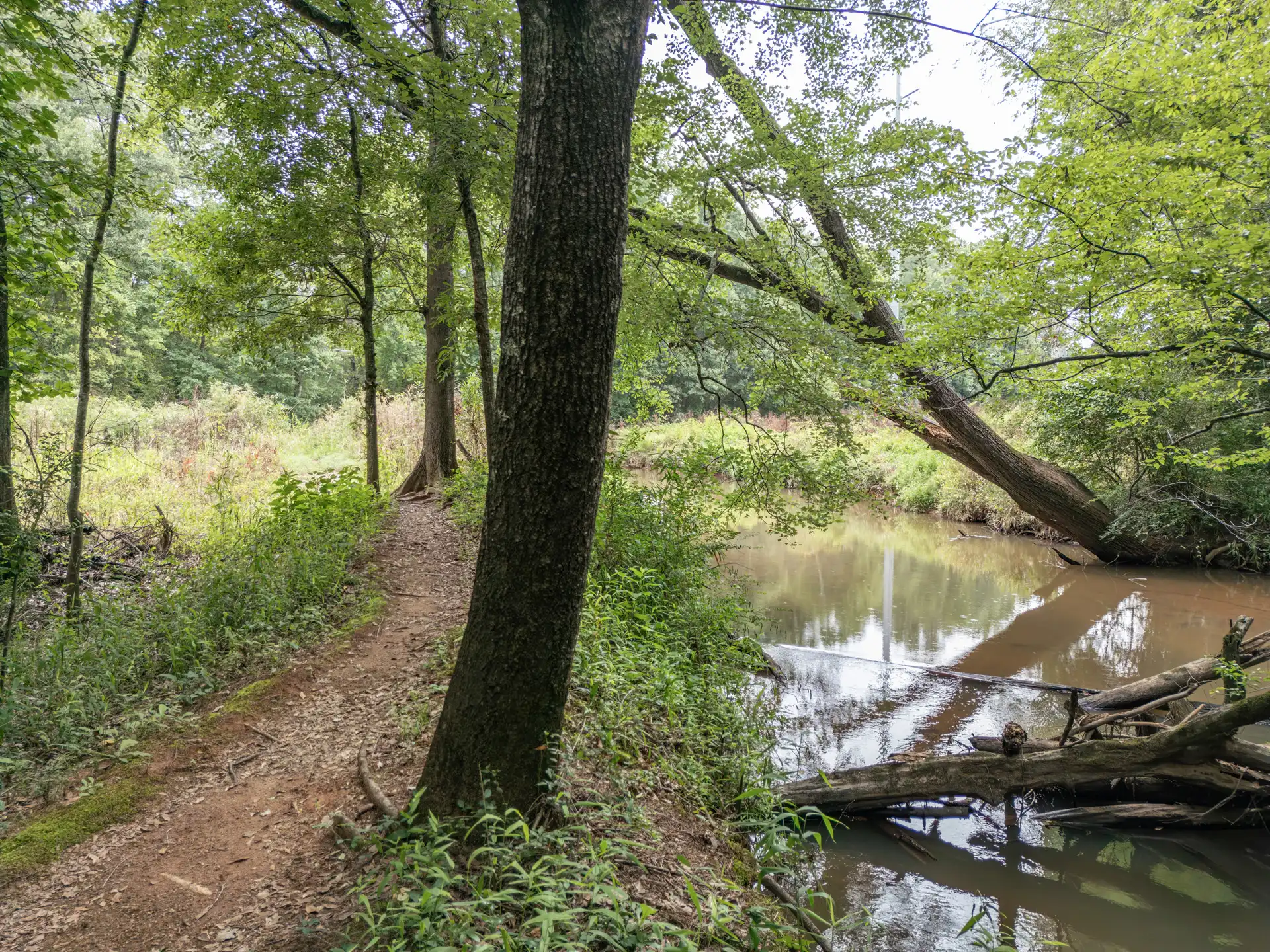 Sandy Creek Nature Center Photography in Athens, GA image 8
