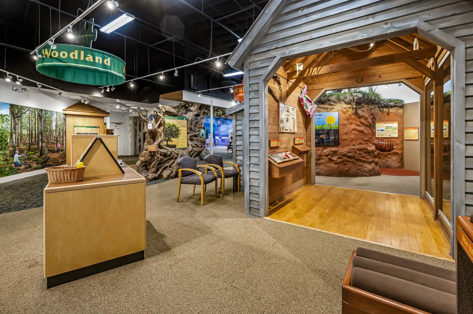 Sandy Creek Nature Center Photography in Athens, GA image 3