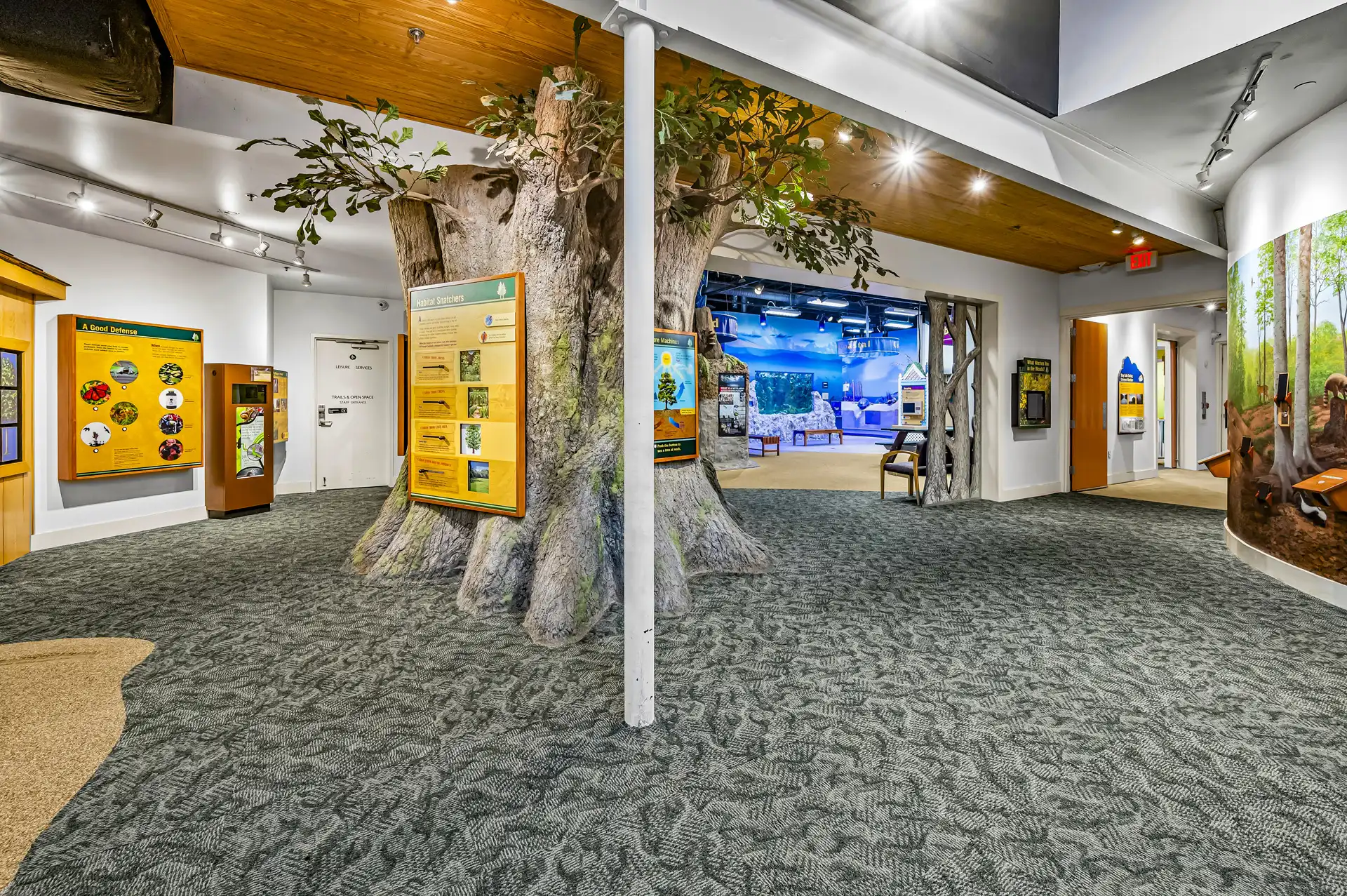 Sandy Creek Nature Center Photography in Athens, GA image 4