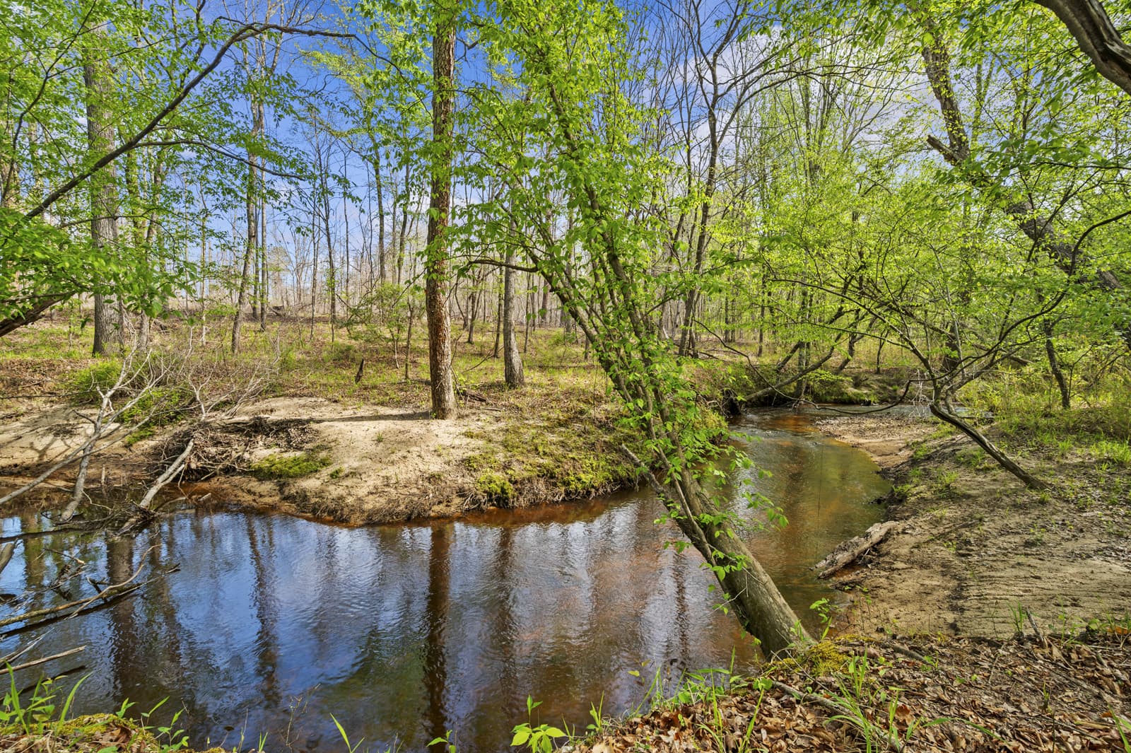 Real Estate Photos - Hunting Cabin in Sparta, GA image 2