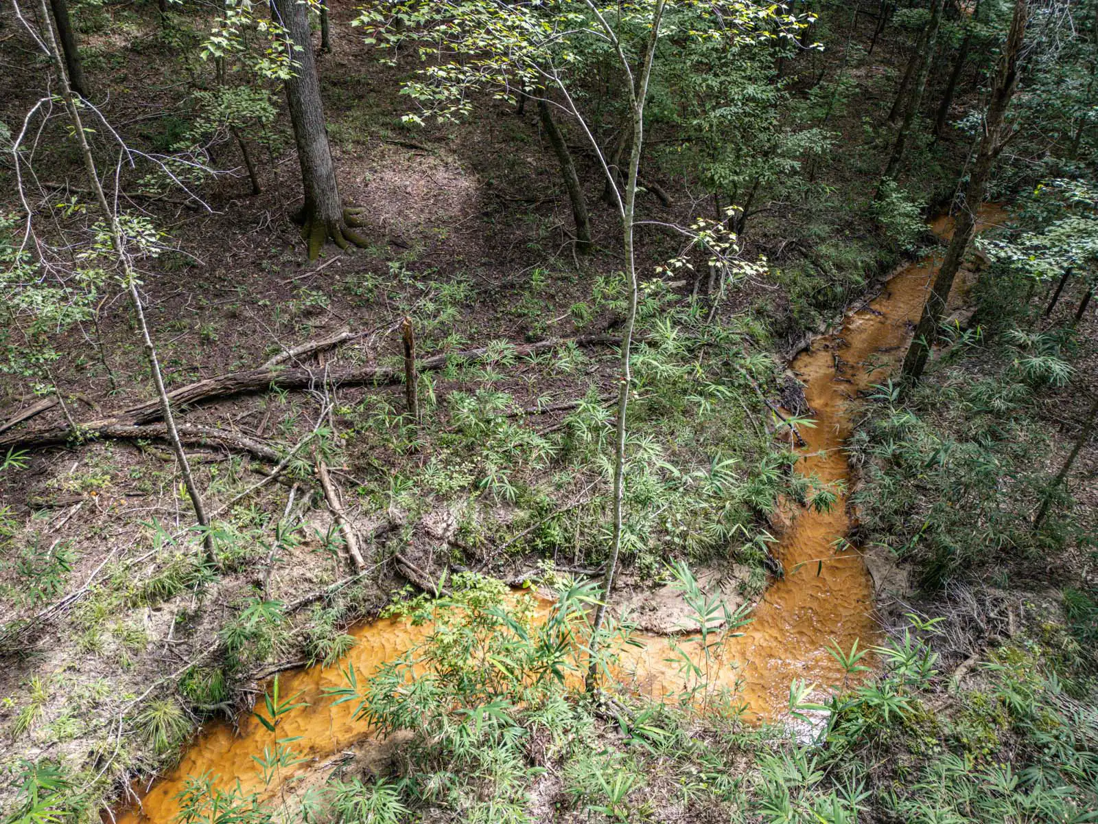 Timberland Lot With Creek and Field Photos in Sparta, Georgia image 3