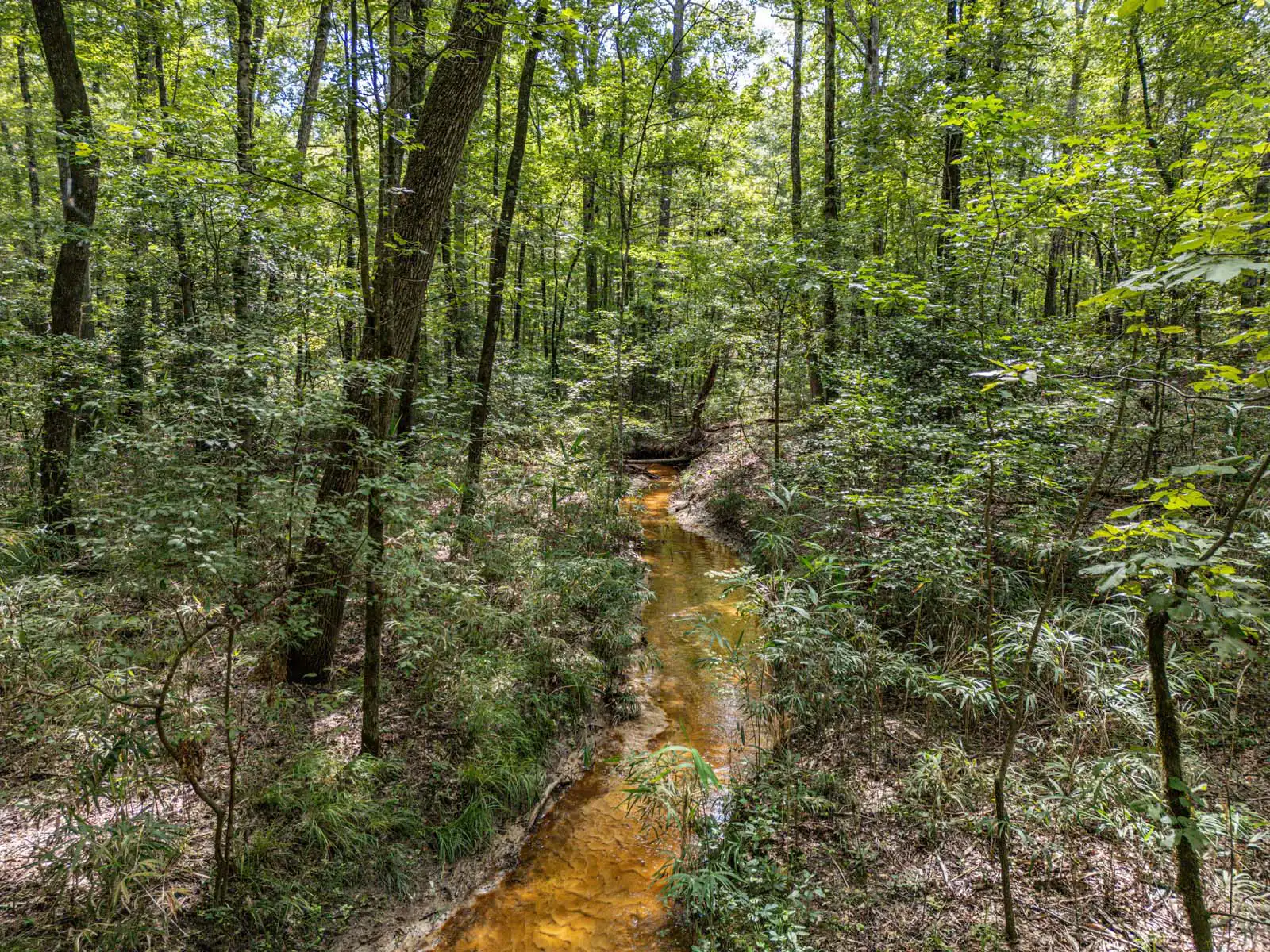 Timberland Lot With Creek and Field Photos in Sparta, Georgia image 2