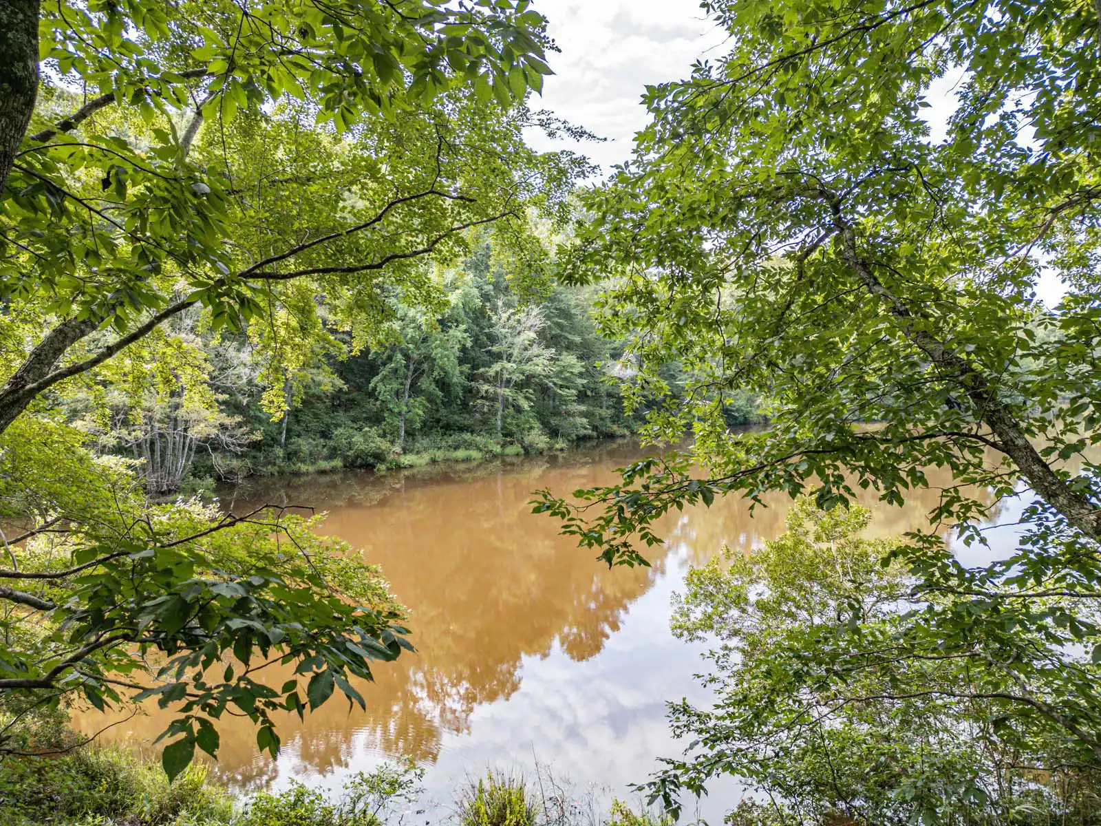 Timberland Lot With Creek, Field, and Lake Access Photos in Sparta, Georgia