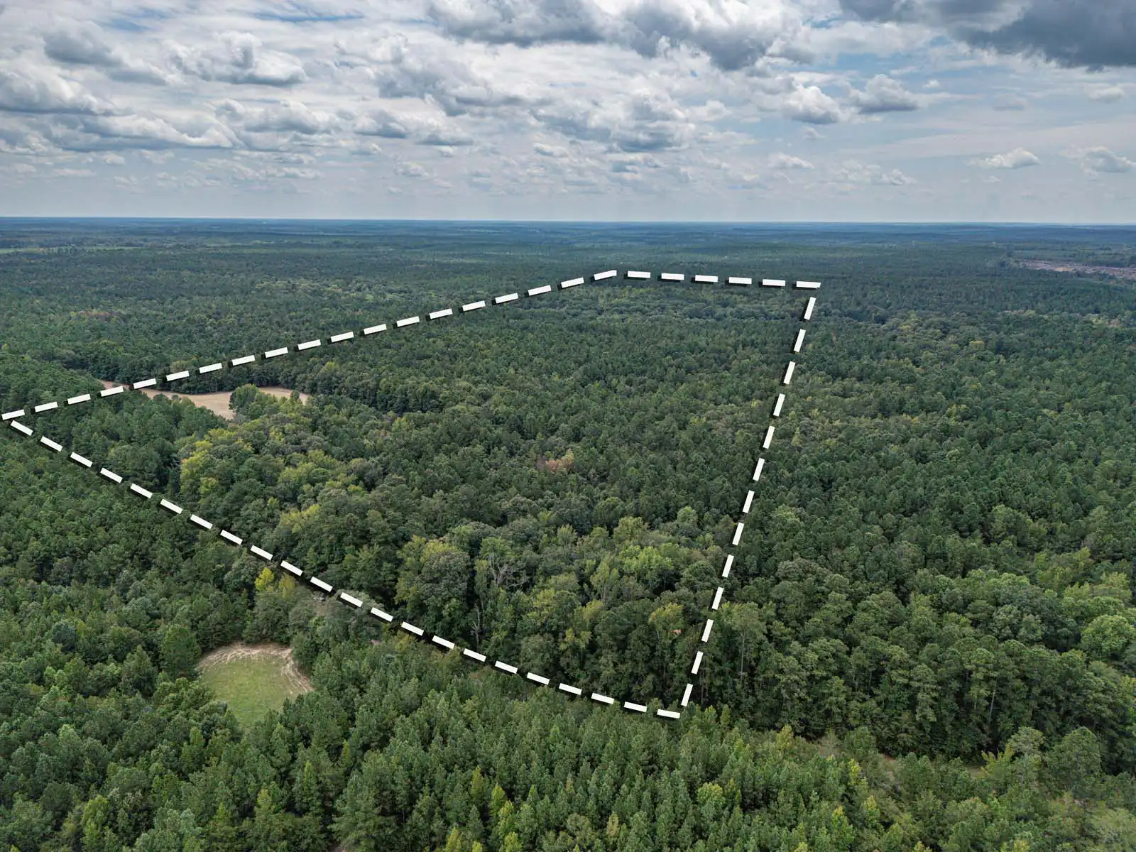Timberland Lot With Creek, Field, and Lake Access Photos in Sparta, Georgia image 2