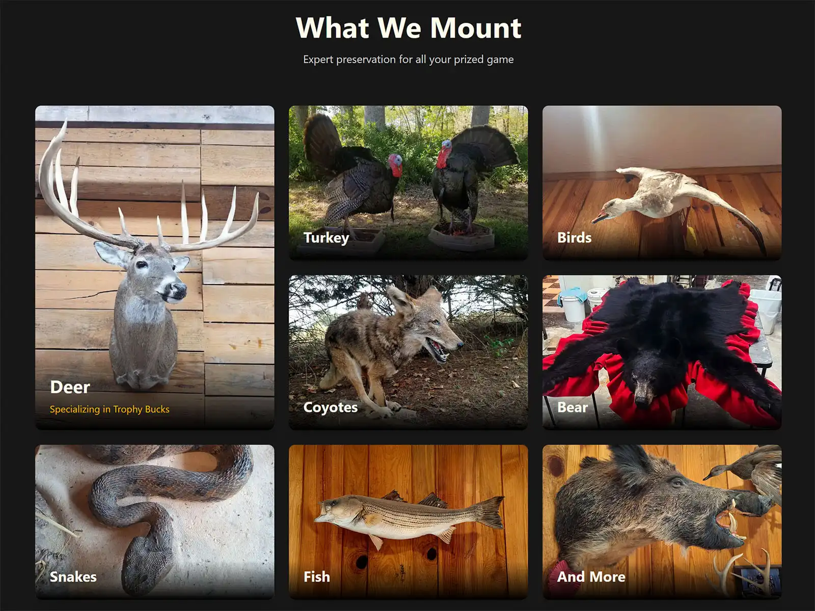 Next.js Website for Mander's Taxidermy in Nicholson, GA image 2
